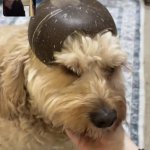 Big sleep commencement