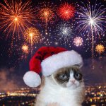 Grumpy cat Christmas fireworks