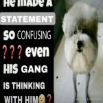 He made a statement so confusing