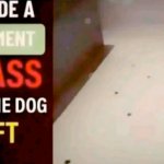 He made a statement so ass even the dog left