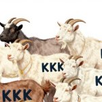 JPP KKK Krazy Kookie Klub Goat herd