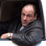 Tony Soprano in car