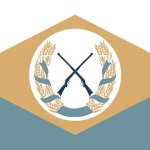 delaware flag redesign template