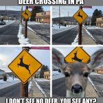 Thems Just Rats On Stilts | DEER CROSSING IN PA; I DON’T SEE NO DEER. YOU SEE ANY? | image tagged in deer xing,surprise,oh deer,rats on stilts | made w/ Imgflip meme maker