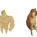 stronger weaker dogs