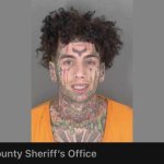 Florida man template