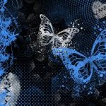 sam's butterfly wallpaper meme