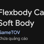 The Flexbody Engine Experience