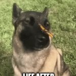 Life after the great meme reset | LIFE AFTER THE GREAT MEME RESET | image tagged in gifs,funny,relatable,memes | made w/ Imgflip video-to-gif maker