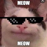 Aura Farming Cat | MEOW; MEOW | image tagged in beluga cat | made w/ Imgflip meme maker