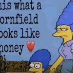 this is what a cornfield looks like honey ?