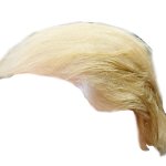 Trump Hair