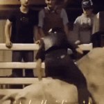 Discount Vasectomy | Now offering discount vasectomies | image tagged in gifs,bull riding,medical,ouch | made w/ Imgflip video-to-gif maker