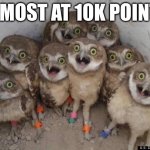 almost there | ALMOST AT 10K POINTS | image tagged in amazed owls | made w/ Imgflip meme maker