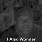 I also wonder