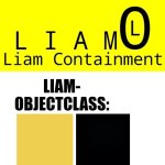 Liam Euclid 2