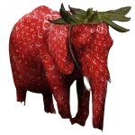 Strawberry Elephant