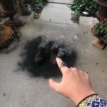 Just evaporated this guy