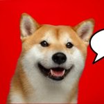 DogePadre Says template