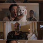 Imhotep scared off by cat