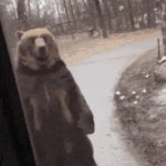 Beat Walking on Two Legs