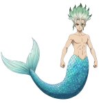 Senku Merman