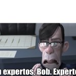 son expertos bob