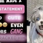 he made a statement so cute even his gang cracked him meme