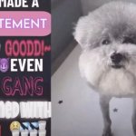 he made a statement so goodd~ even his gang gooned with him meme