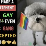 he made a statement so gay even his gang accepted him meme