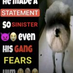 he made a statement so sinister even his gang fears him meme