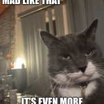 its obvious you're wrong | WHEN YOU GET MAD LIKE THAT; IT'S EVEN MORE OBVIOUS YOU'RE WRONG | image tagged in diapproval cat | made w/ Imgflip meme maker