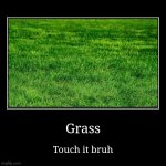This is what we all should do | Grass | Touch it bruh | image tagged in funny,demotivationals | made w/ Imgflip demotivational maker
