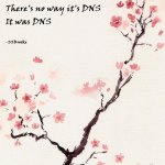DNS Haiku