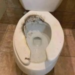 Toilet broken and burned