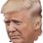 Trump head