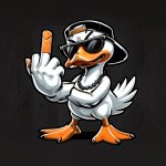 middle finger duck