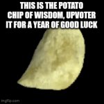 Yes it works guys | THIS IS THE POTATO CHIP OF WISDOM, UPVOTER IT FOR A YEAR OF GOOD LUCK | image tagged in gifs,cats,meme,memes,funny,relatable | made w/ Imgflip video-to-gif maker