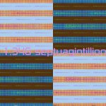 67 Kid x1 Septuagintillion