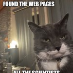 secret internet knowledge | YOU MUST HAVE FOUND THE WEB PAGES; ALL THE SCIENTISTS AND DOCTORS COULDN'T FIND | image tagged in diapproval cat | made w/ Imgflip meme maker