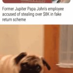 Former Papa John's employee | image tagged in gifs,papa johns,memes,blank white template,thief,pizza | made w/ Imgflip video-to-gif maker