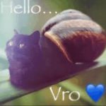 hello vro