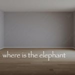 where is the elephant