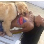 Dog licking woman