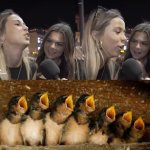 Hawk Tuah Baby Birds