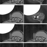 Brain sleep checking phone extended