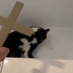 DEMON BE GONE GIF Template