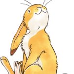 Bunny rabbit meets butterfly