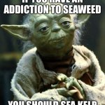 Nowledge | IF YOU HAVE AN ADDICTION TO SEAWEED; YOU SHOULD SEA KELP | image tagged in memes,star wars yoda | made w/ Imgflip meme maker