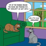 Cats being cats meme